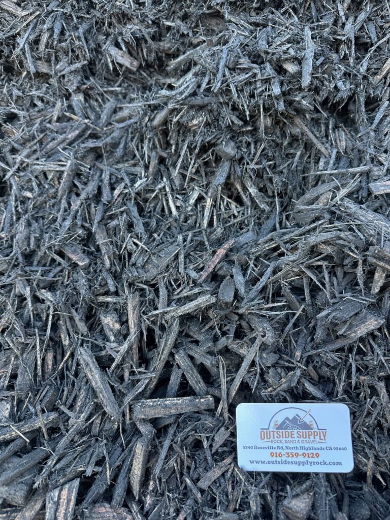 Black Bark (Colored)